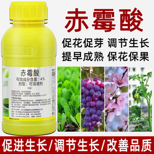 赤霉酸赤酶酸赤霉素催芽增产植物生长调节剂920生长素农药溶液药