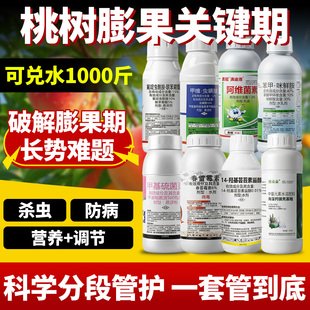 桃树专用杀虫剂食心虫花前花后膨果药蚜虫桃子流胶病杀菌农药套餐