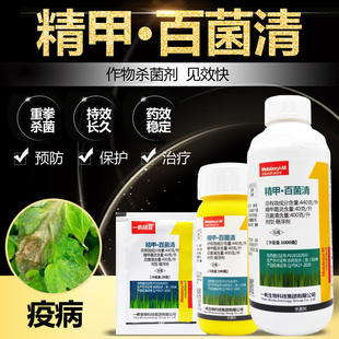 番茄晚疫病专用药杀菌剂44%精甲百菌清铁皮石斛一遍效特农药大全