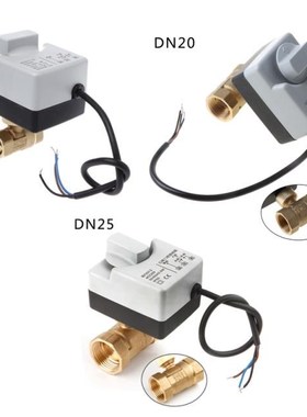 AC 220V DN15 DN20 DN25 2 Way 3 Wire Brass Motorized Ball Val