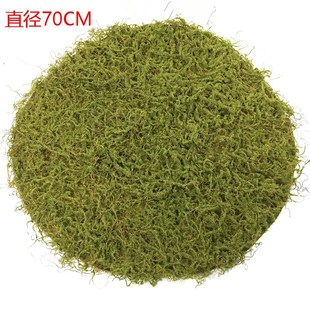 Wall Backgroun Landscape Stone Large Moss Hanging Grass Lawn