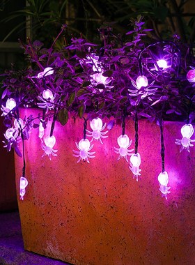 6.5M 30 LED String Lights Solar Garden Lights Purple Lamp Sp