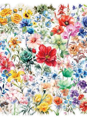 50张透明鲜艳美丽花卉花朵涂鸦贴纸个性平板电脑手机壳水杯手账贴