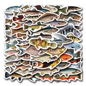 110张海洋Fish深海鱼涂鸦贴纸行李箱笔记本电脑手机鱼缸装 饰贴纸