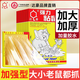 达豪正品粘鼠板老鼠胶夹灭鼠器驱鼠剂捕鼠器捕鼠笼老鼠贴10片包邮