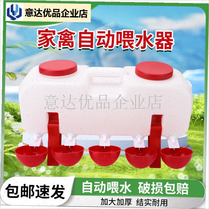 养鸡用自动饮水器l小鸡鸽子自动喂水喝水碗养殖鸡鸭鹅喂水器水壶,