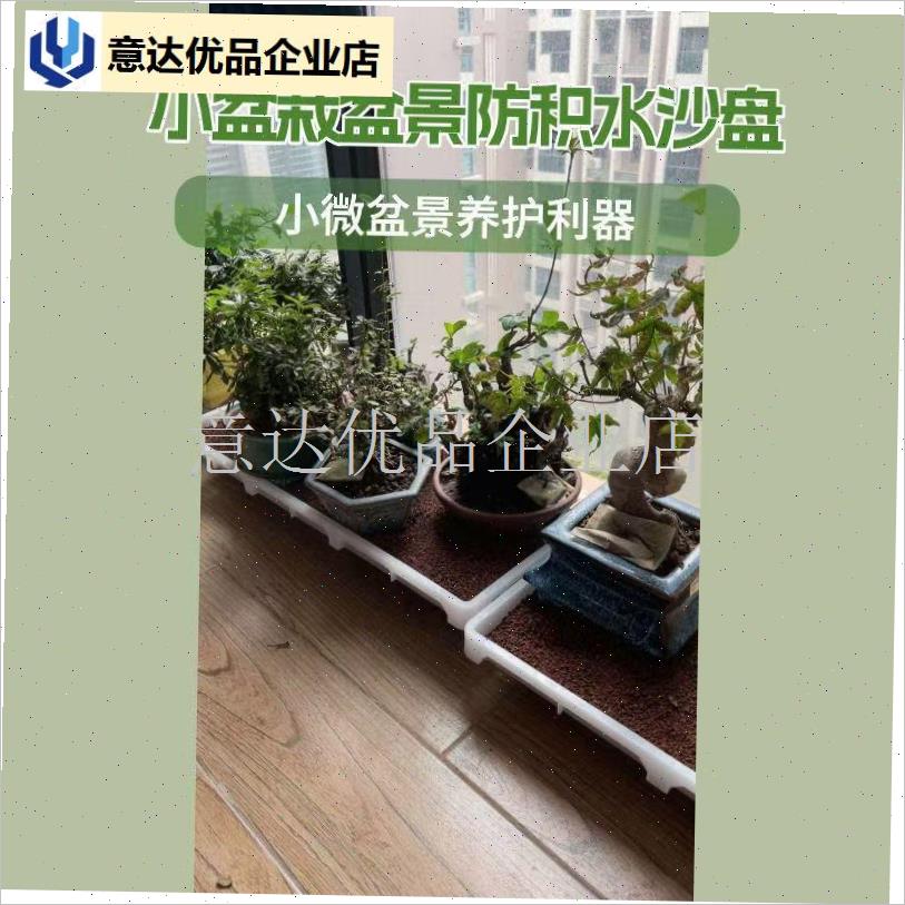 小微盆景专用养护沙盘s园艺x小盆栽植物保湿沙床透气孔促生根,