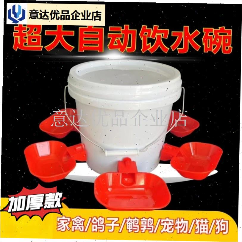 新款大号家禽鸽子专用自动饮水器D鸡鸭鹅喂食器喂鸡碗养鸡宠物喝,