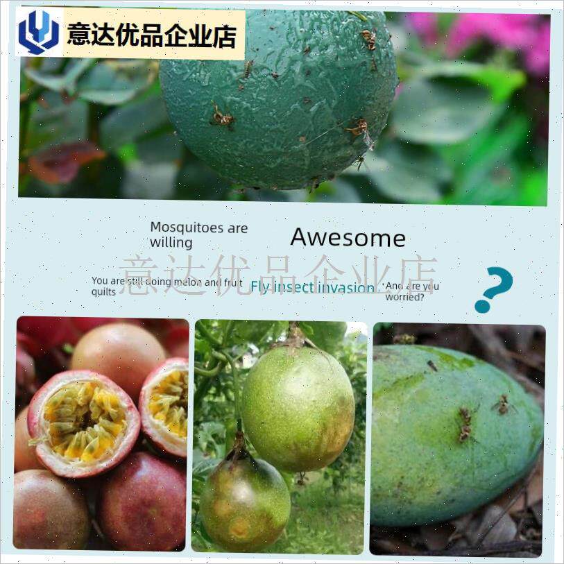 园诱蝇球柑橘大小实蝇瓜果树针蜂贴果虫诱捕器果蝇粘Y虫板粘蝇球,