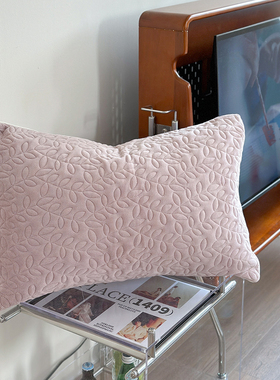 冬季加厚牛奶绒枕套48x74紫色珊瑚绒夹棉枕头套枕芯内胆套一对装