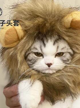 网红猫咪狮子头套卡通可爱小帽子兔耳朵搞怪假发圣诞装扮宠物服饰