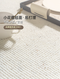 【卡提菲亚】致简丨天然羊毛地毯客厅轻奢高级沙发地垫卧室床边毯