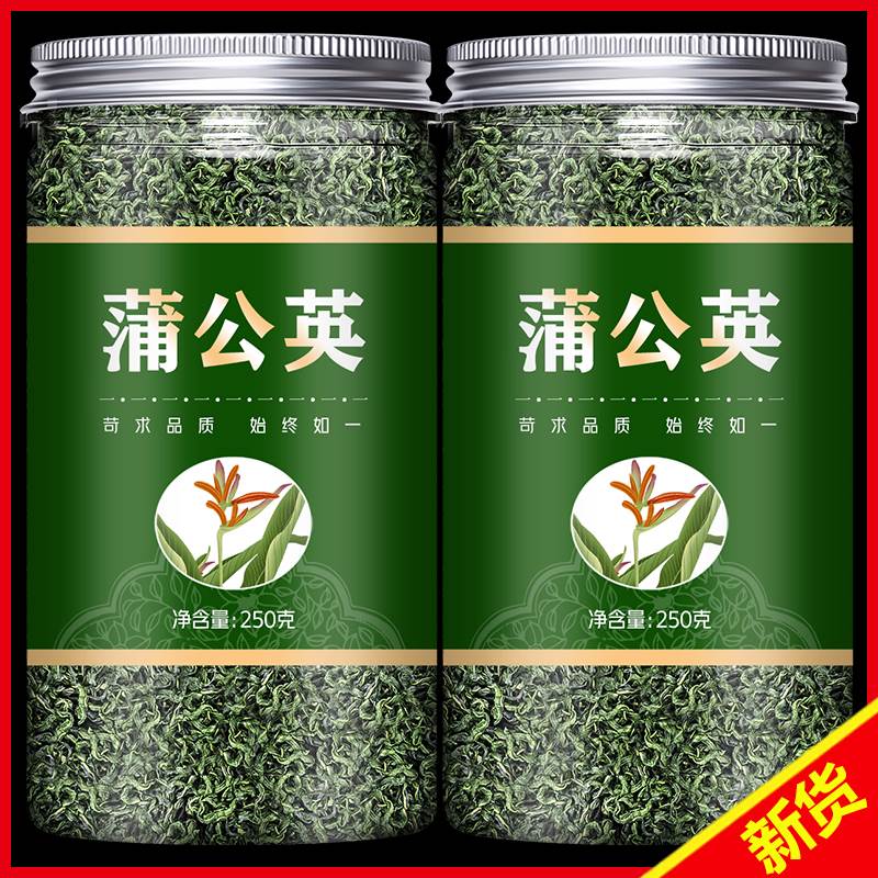 蒲公英茶散结中药材官方