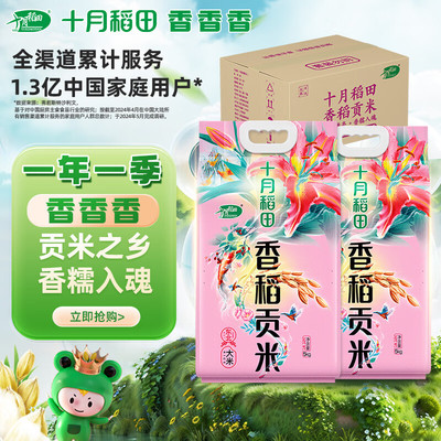 十月稻田 23年新米 香稻贡米 东北大米 5kg*2/箱装 香米 粳米 10k