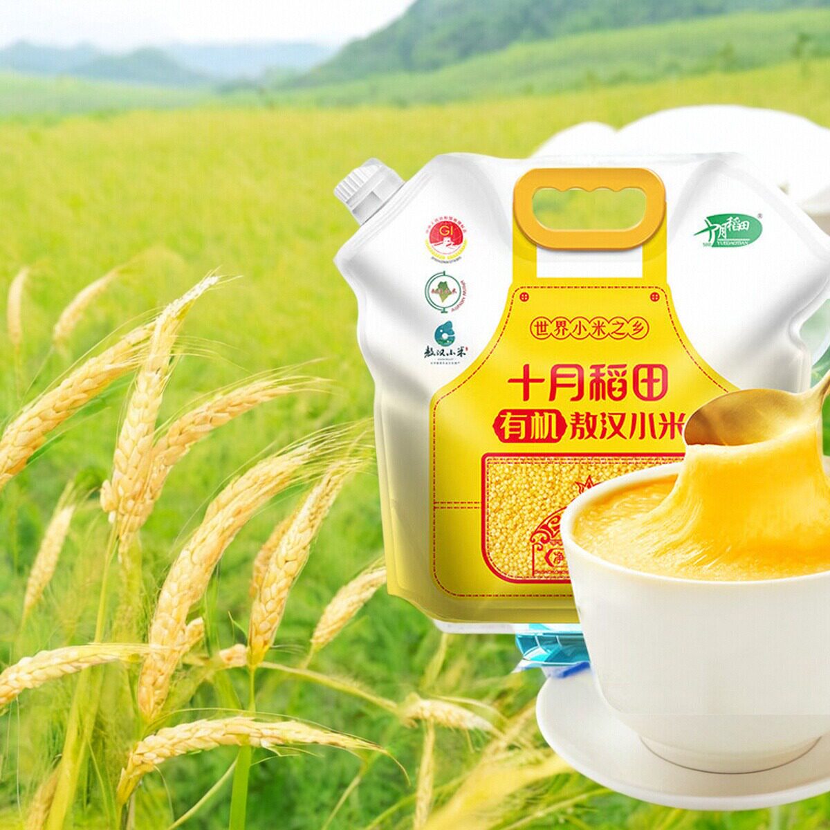 十月稻田有机敖汉小米2.5kg 内蒙古 赤峰 黄小米 小米粥 金苗K1图片