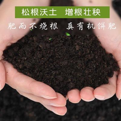 肥料蔬菜有机肥饼肥腐熟发酵花肥料熟饼花生麸芝麻豆饼油枯菜籽粕