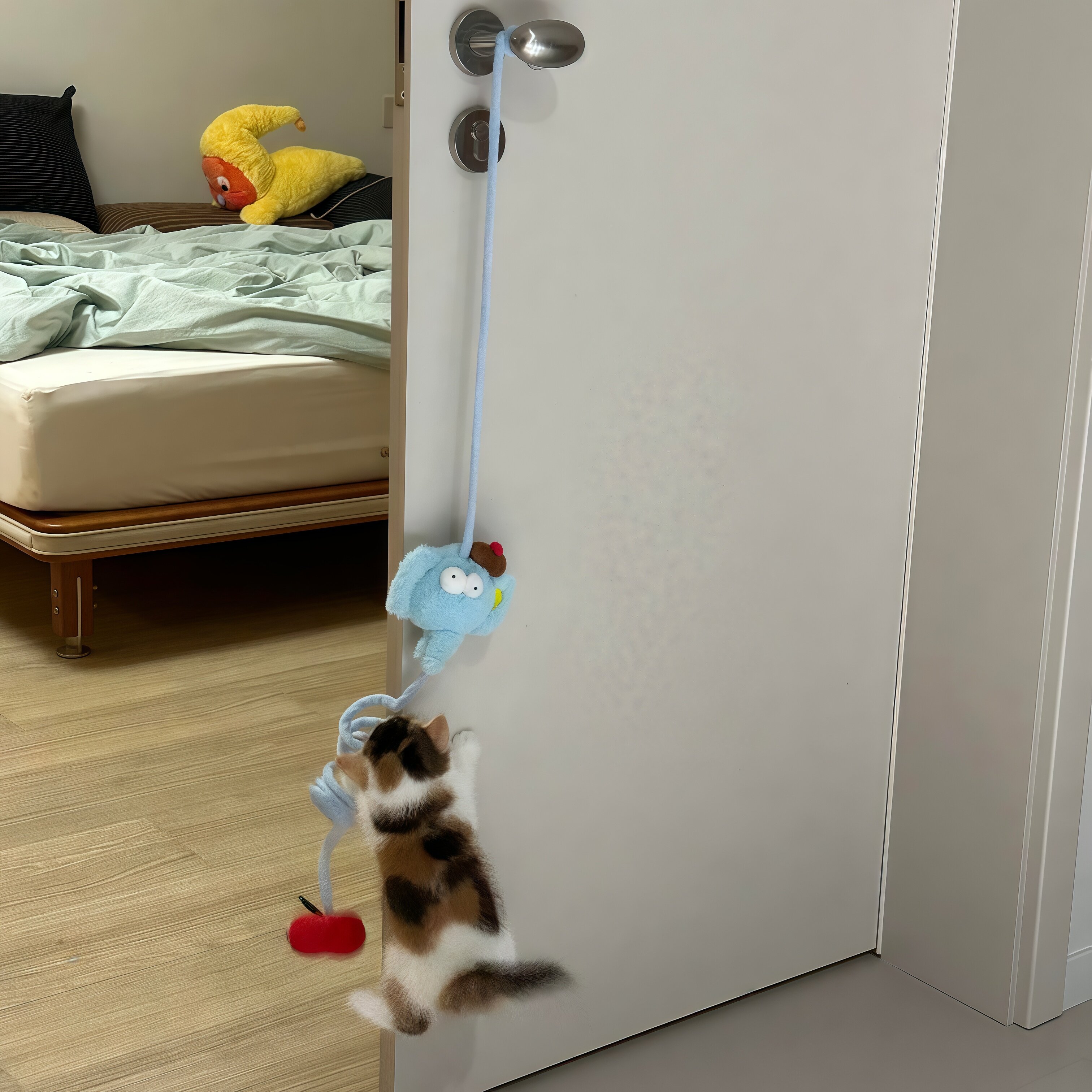 圈圈象逗猫棒挂门弹力绳猫咪自嗨解闷自嗨解闷玩具咬不烂懒人神器