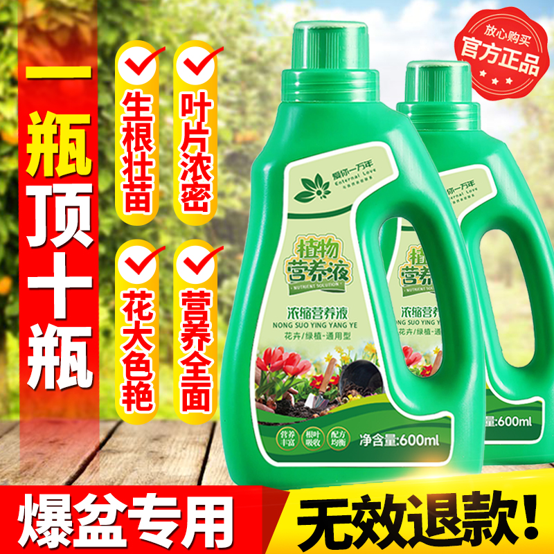 营养液植物通用型花肥发财树富贵竹绿萝水培盆栽家用花卉养花肥料