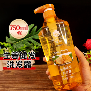 蜂花生姜健发洗发露温和清洁洗发水男女蓬松留香洗头膏强韧发丝