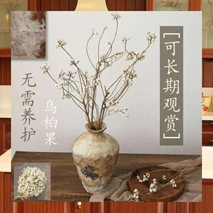 适合客厅的干花白果乌桕干花小白果花束插花森系装饰树枝民宿风格