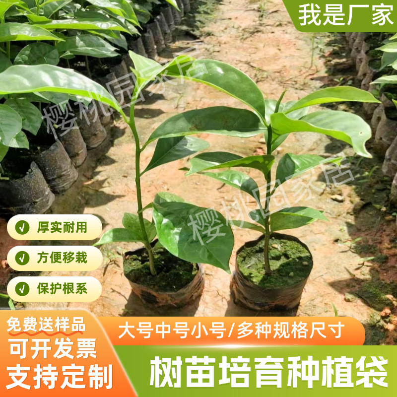 育苗袋桉树水果育苗袋槟榔营养袋黑色一次性加厚种植袋树苗营养袋