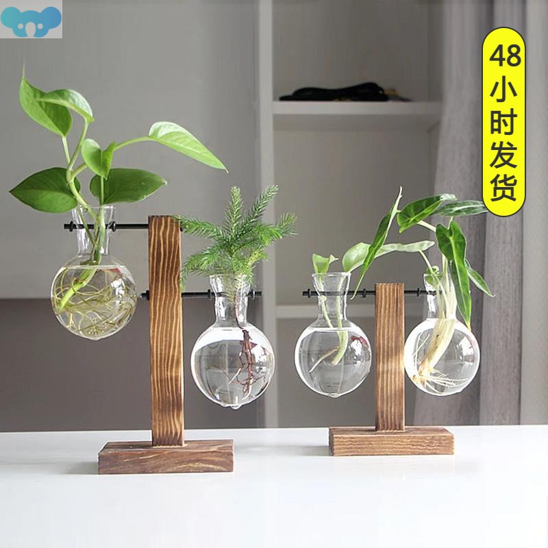 Terrarium Plant Vases Hydroponic Vintage Glass Flower Pot跨