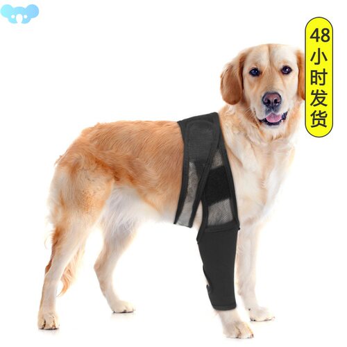Dog Thigh Protector Joint Knee Guard