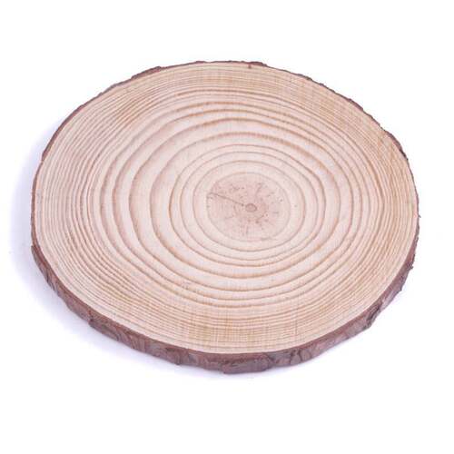 1pcs 6-15cm Thick Natural Pine Round nfinished Wood Slices跨