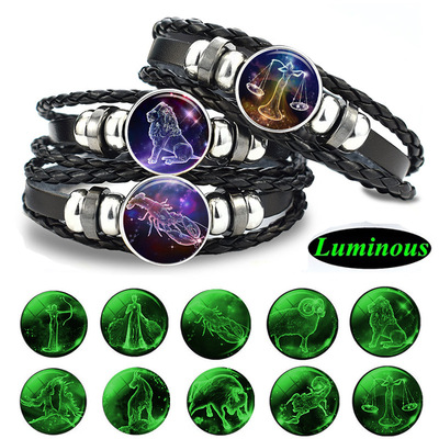 Gemini Leo Libra Scorpio Sagittarius 12 Constellation跨境专