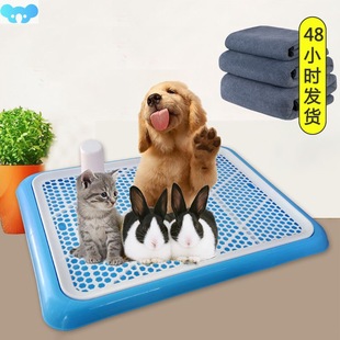 Puppy Toilet Litter Diaper Boxes跨境 Cats Mat Dogs Pet Potty