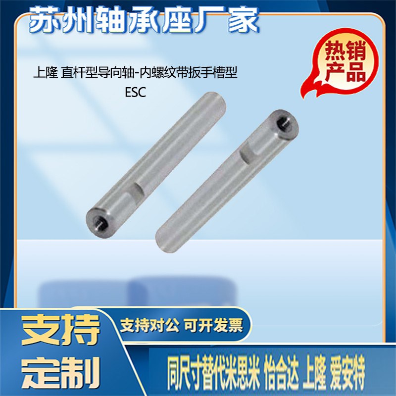 直杆型导向轴ESC-6 8 10~50-20~1500-3~30-0~12内螺纹带扳手槽型