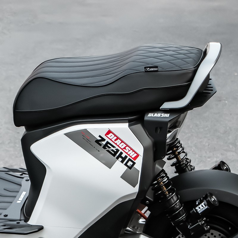 欧老师尾架适用极核AE5i AE5pro后隐形尾架一体坐垫扶手靠背配件