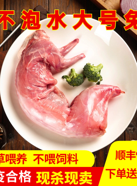 【净重不泡水】新鲜兔肉现杀整只农家散养烧烤检疫合格顺丰快递