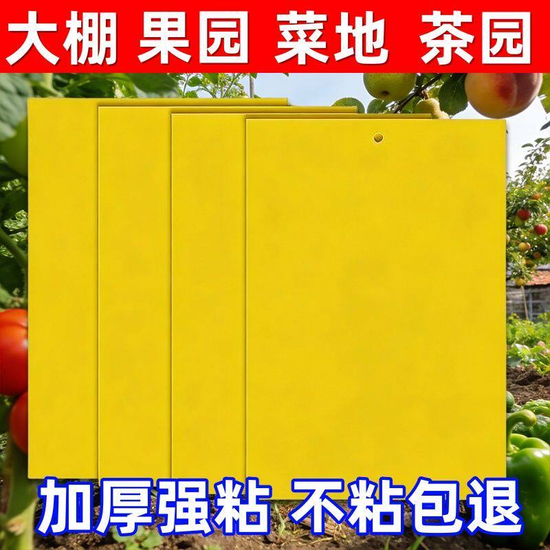 双面黄板粘虫板诱果蝇蓟马驱蝇