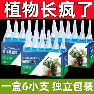 植物再生剂发财树花卉绿植盆栽通用光杆发黄发财树多肉生长营养液