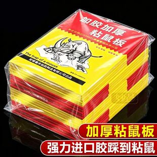 老鼠粘强力粘鼠板捕鼠神器强力胶粘大老鼠贴一窝端厨房家用贴