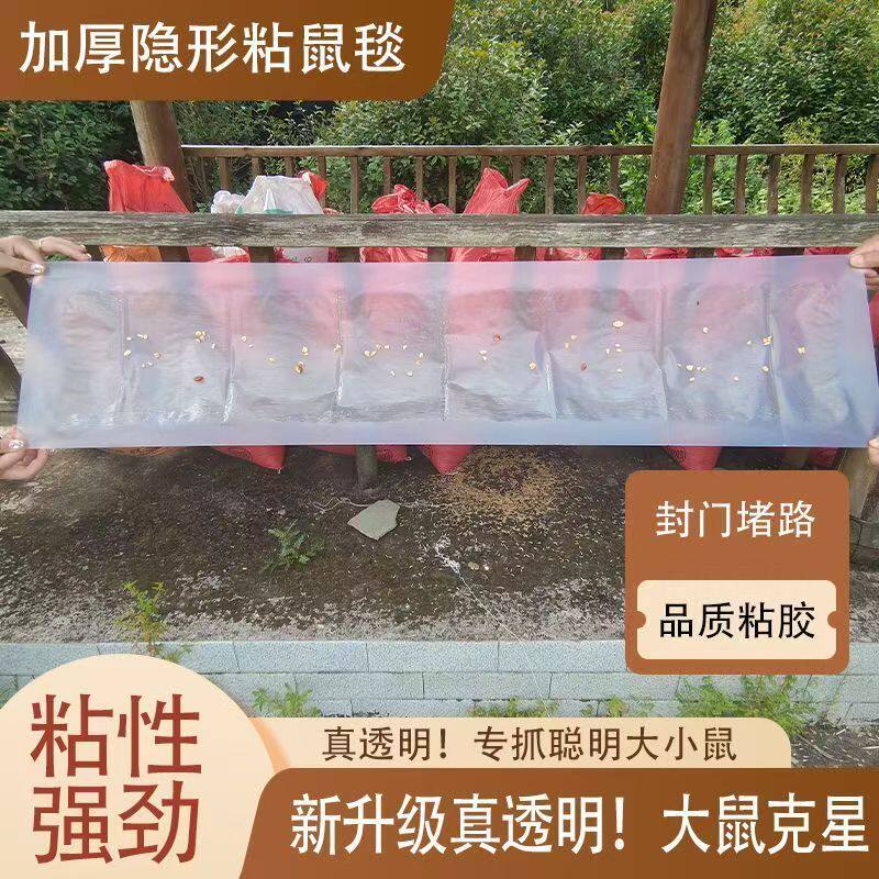 超强力粘鼠板大老鼠贴捕鼠老鼠神器透明隐形大号家用灭黏粘鼠魔毯
