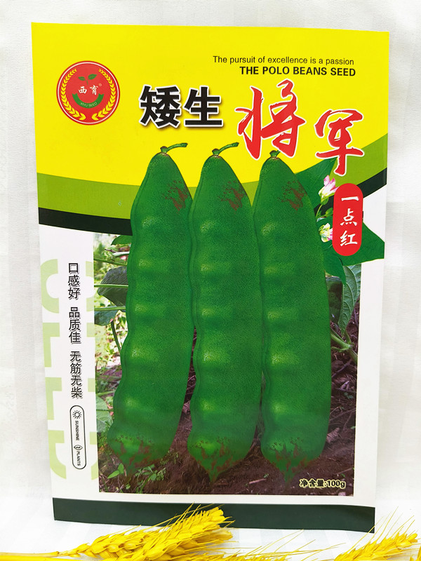 东北蔬菜种子籽矮生将军一点红油豆角种子不搭架豆角籽早熟100克图片