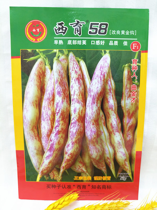 东北蔬菜种子东北黄金钩种子西育58豆角种子改良黄金钩早熟50克