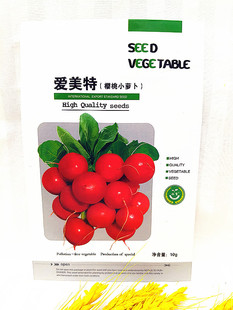 西林种子早春菜种菜籽阳台盆栽四季蔬菜爱美特樱桃水萝卜种子10克