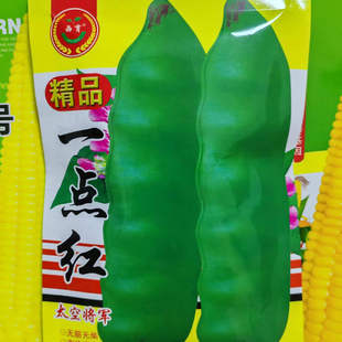 西林种业一点红油豆角种子太空将军豆压趴架豆角籽油豆角子150克