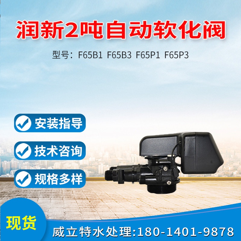 阀软化控制阀自动软化阀多路阀2吨 F65B1/B3 635021