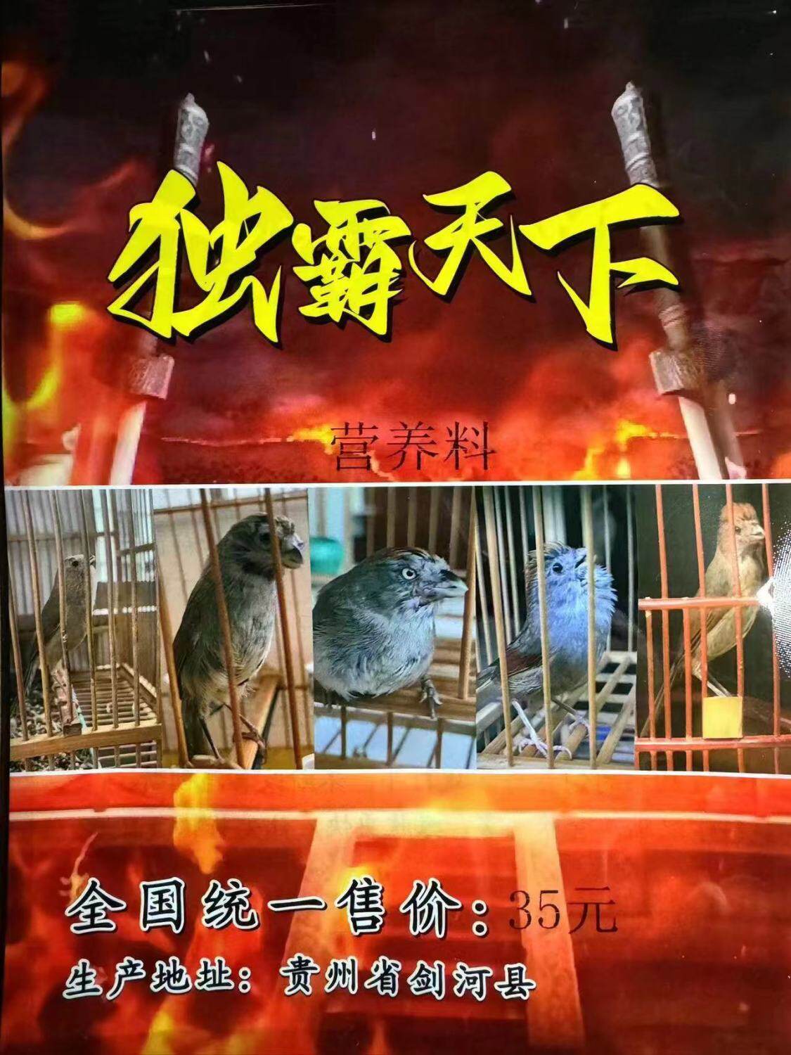 独霸天下鸟食名满天下鸟饲料名扬纵横四方黄豆黄腾贵州打斗料鸟食
