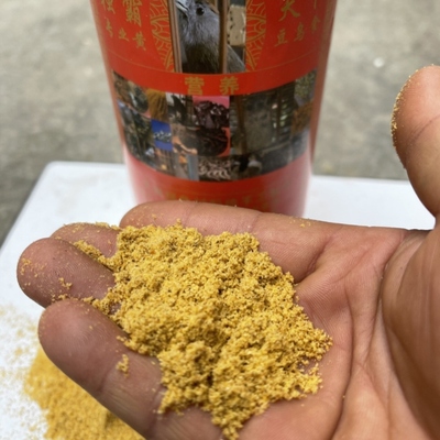 独霸天下鸟食 营养款 黄豆 黄腾 饲料 精品纯手工 一瓶500克
