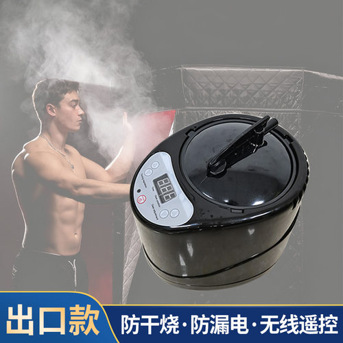 中药蒸汽熏蒸机家用全身排毒