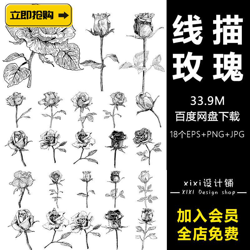 hh96玫瑰花线描花朵花纹简笔画花瓣花束手绘剪影免抠png图片素材