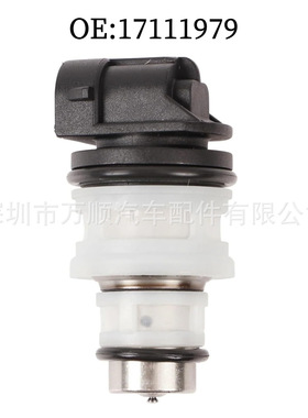 喷油嘴 17111979 适用于雪佛兰欧宝   FJ10580 17113277