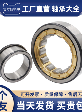 哈尔滨圆柱滚子轴承RNU202 RNU203 RNU204 RNU205 RNU206 EM