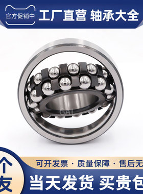 哈尔滨调心球轴承2307 2308 2309 2310 2311 2312 2313 RS