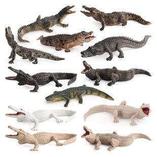 儿童实心仿真野生爬行动物鳄鱼模型短吻鳄黑帝鳄扬子鳄摆件玩具